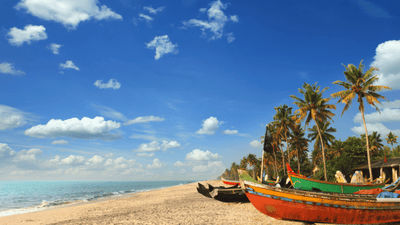 Spice Journeys: Mrs. Balbir Singh's Coastal Curries
