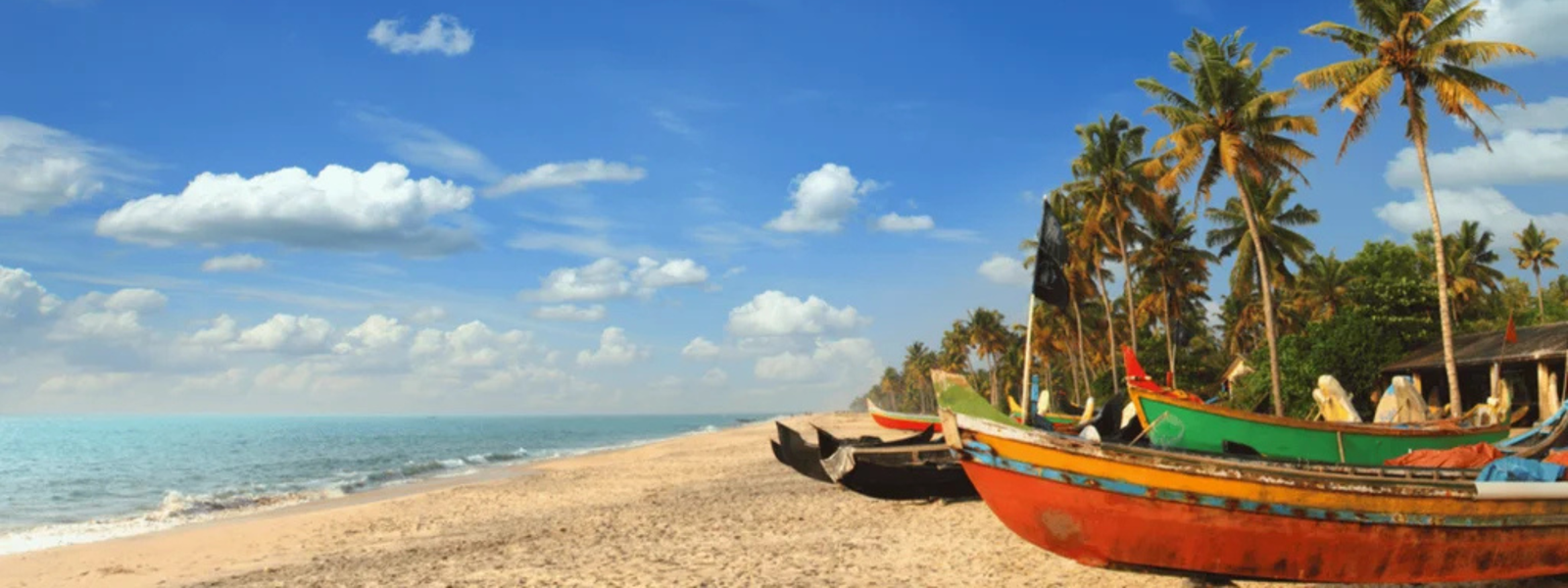 A taste of Goa