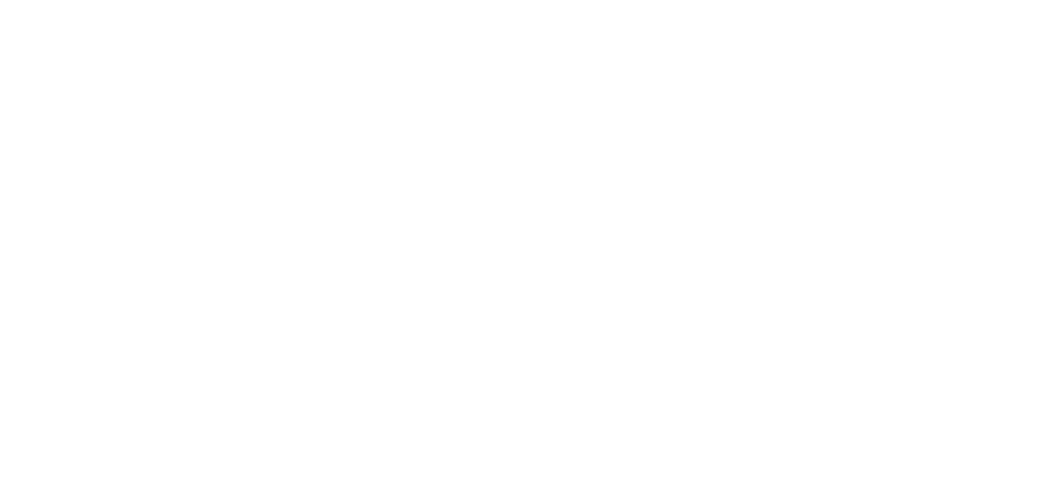 Mrs Balbir Singh